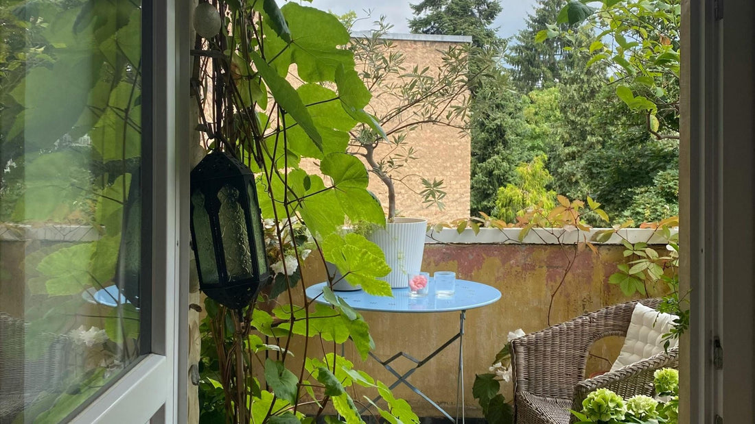 Alles zur Balkonkraftwerk Einspeisevergütung